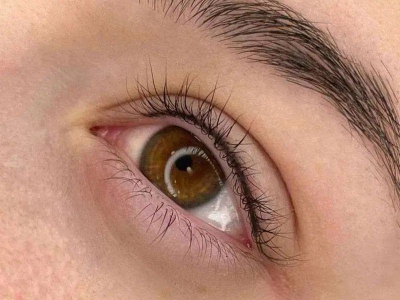 کاور تاتو قدیمی، شیدینگ لب، قاب، سایه، بن مژه|خدمات آرایشگری و زیبایی|ایذه, |دیوار