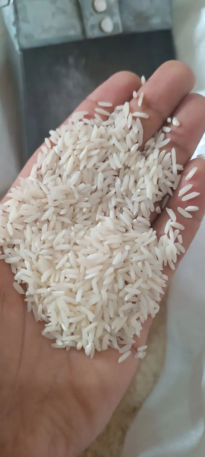 برنج هاشمی خوش طعم|خوردنی و آشامیدنی|رشت, دیلمان|دیوار