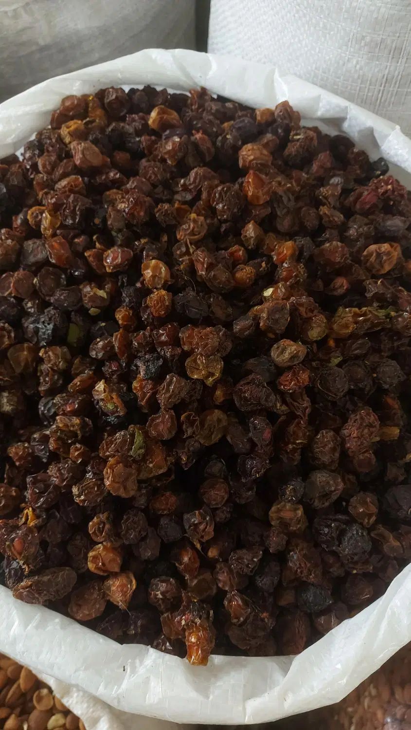 آلوچه و آلبالو|خوردنی و آشامیدنی|مشهد, کارمندان دوم|دیوار