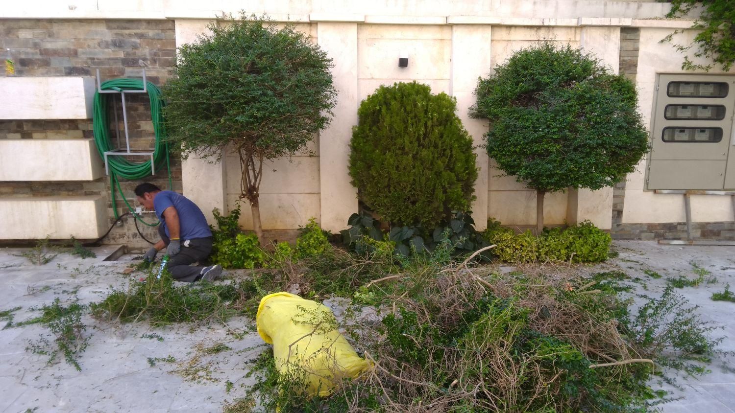 خدمات سیار باغبانی وتمام امورات باغ و باغ شهری|خدمات باغبانی و درختکاری|شیراز, شهرک مدرس|دیوار