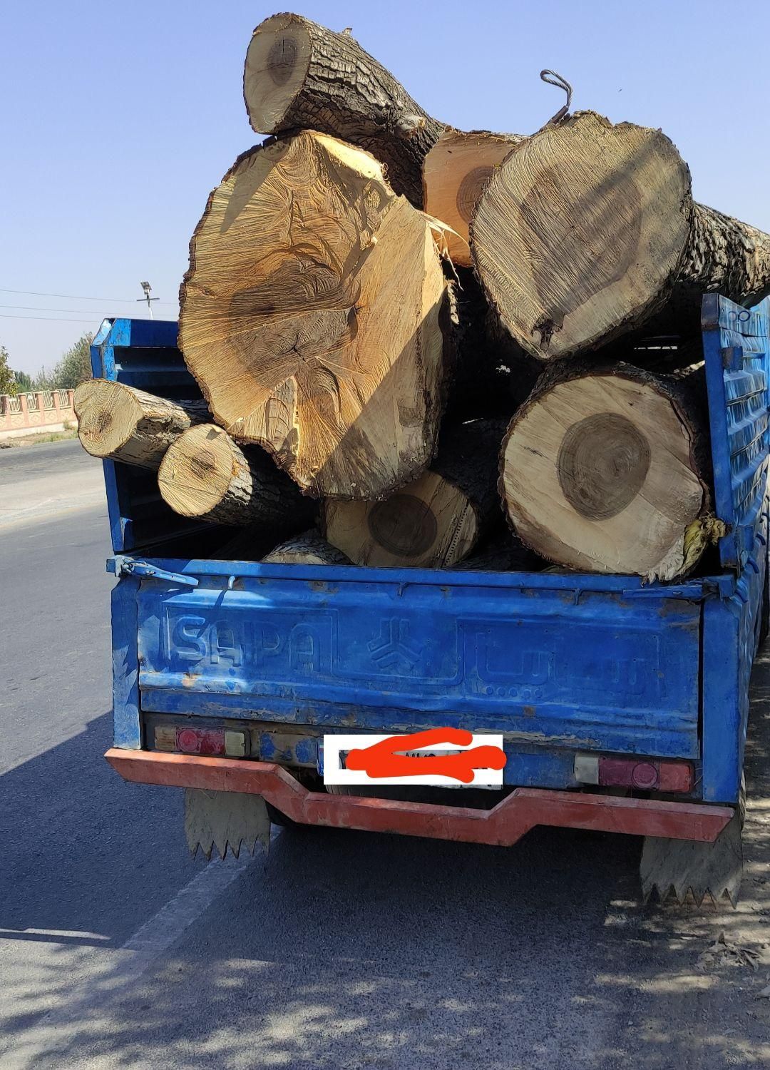 خرید چوب تر، خشک ، ضایعات به قیمت بالا|خدمات باغبانی و درختکاری|خوی, |دیوار