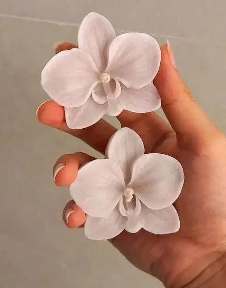 گیفت ارکیده|صنایع دستی و سایر لوازم تزئینی|رشت, حمیدیان|دیوار