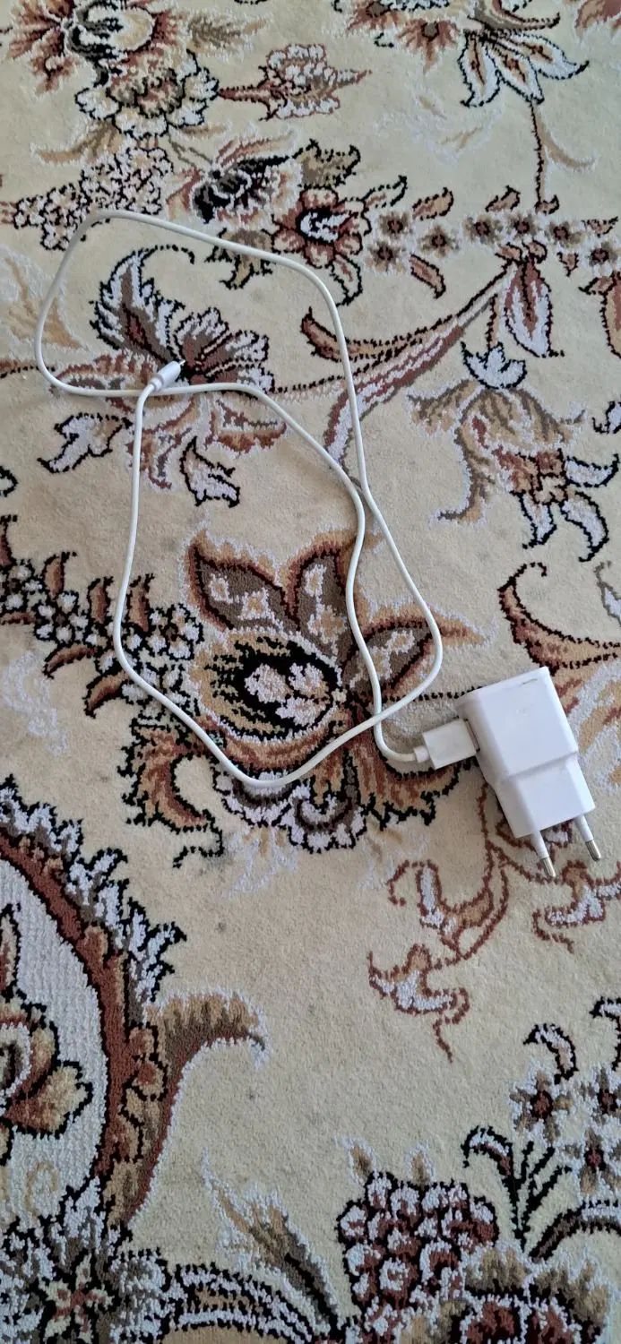 دو تو کله شارژر و یک کابل|اشیا|مشهد, حرم مطهر رضوی|دیوار