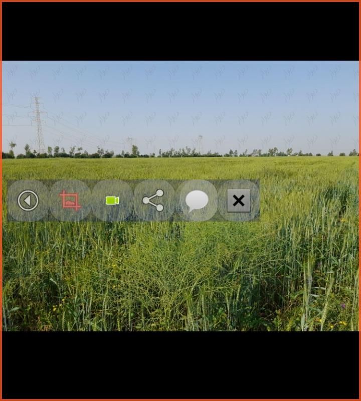 زمین کشاورزی ۸ هکتار سند ثبتی تک برگ با چاه آب|فروش دفتر صنعتی، کشاورزی، تجاری|برازجان, |دیوار