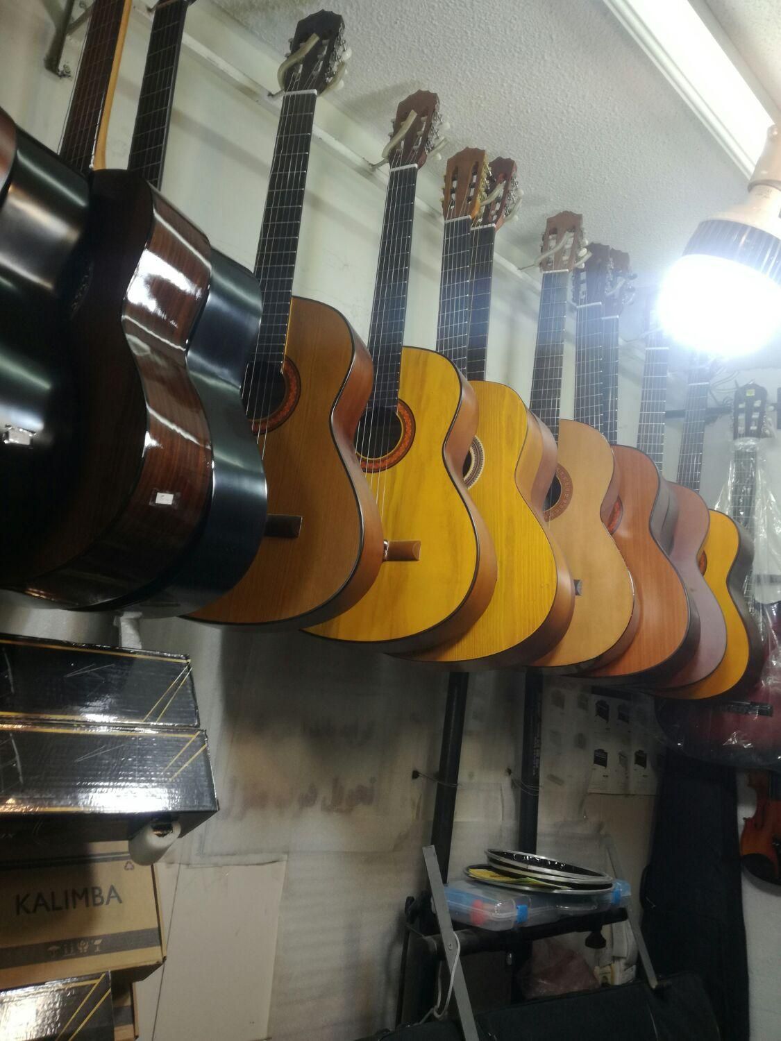 پخش  وفروشانواع گیتار ایرانی  وخارجی|گیتار، بیس، امپلیفایر|همدان, |دیوار