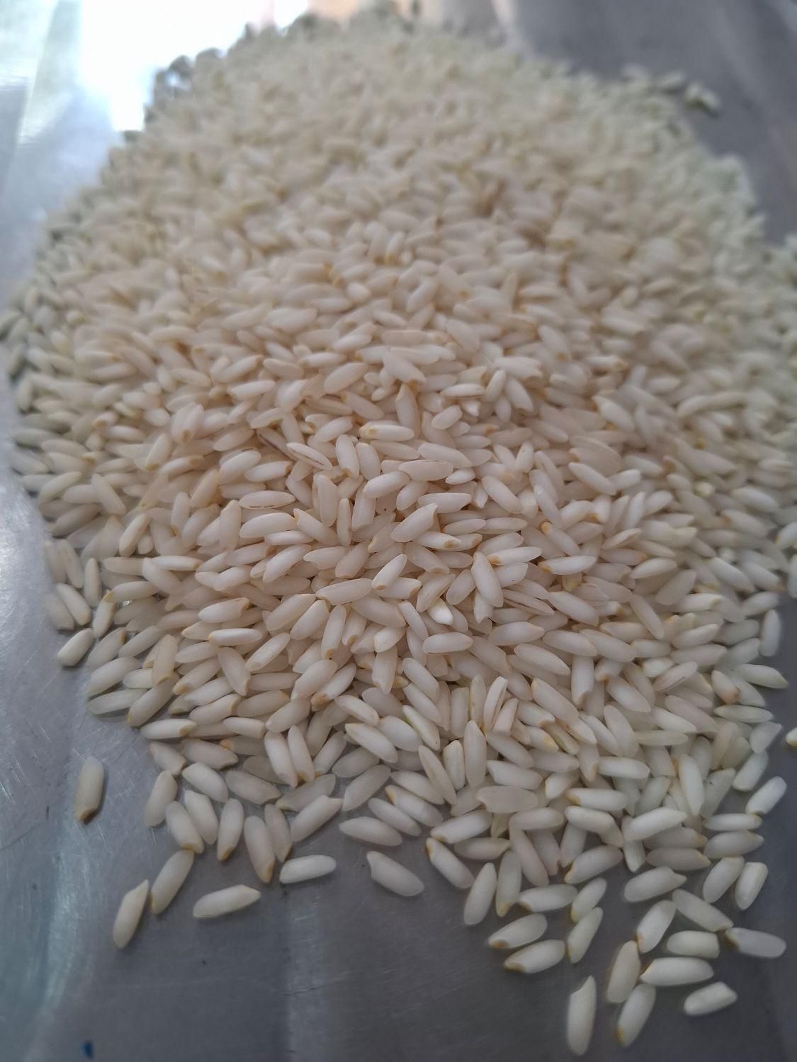 برنج عنبربو رستگار امسالی1404(جزئی وکلی)|خوردنی و آشامیدنی|مشهد, رسالت|دیوار