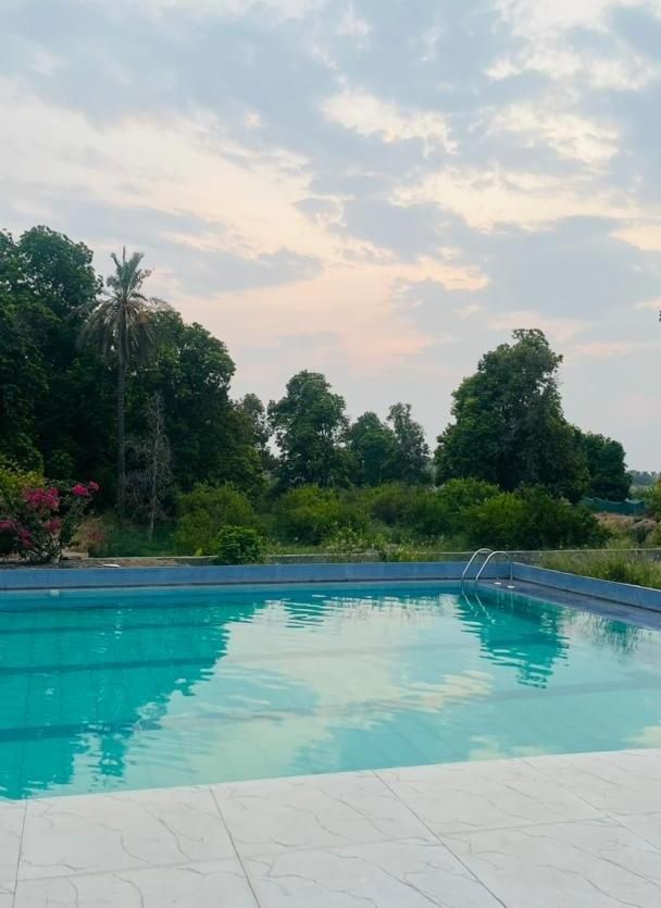 اجاره روزانه/هفتگی/ماهانه ویلاو استخر|اجارهٔ کوتاه‌مدت ویلا و باغ|میناب, |دیوار