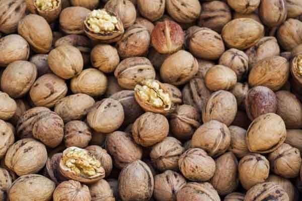 گردو با پوست قهوه ای|خوردنی و آشامیدنی|تهران,  امام زاده قاسم (نیاوران)|دیوار