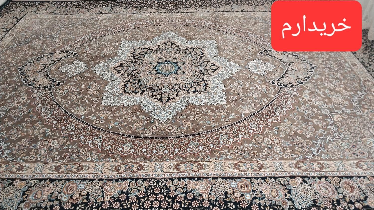 ۷۰۰‌شانه|فرش|قزوین, |دیوار