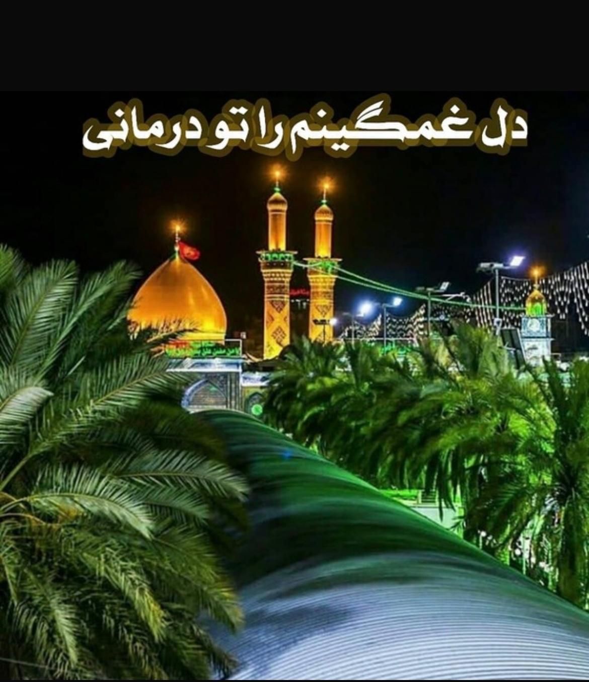 مشهد ، همه روزه مجری مستقیم ریلی و هوایی|تور و چارتر|تهران, افسریه شمالی|دیوار