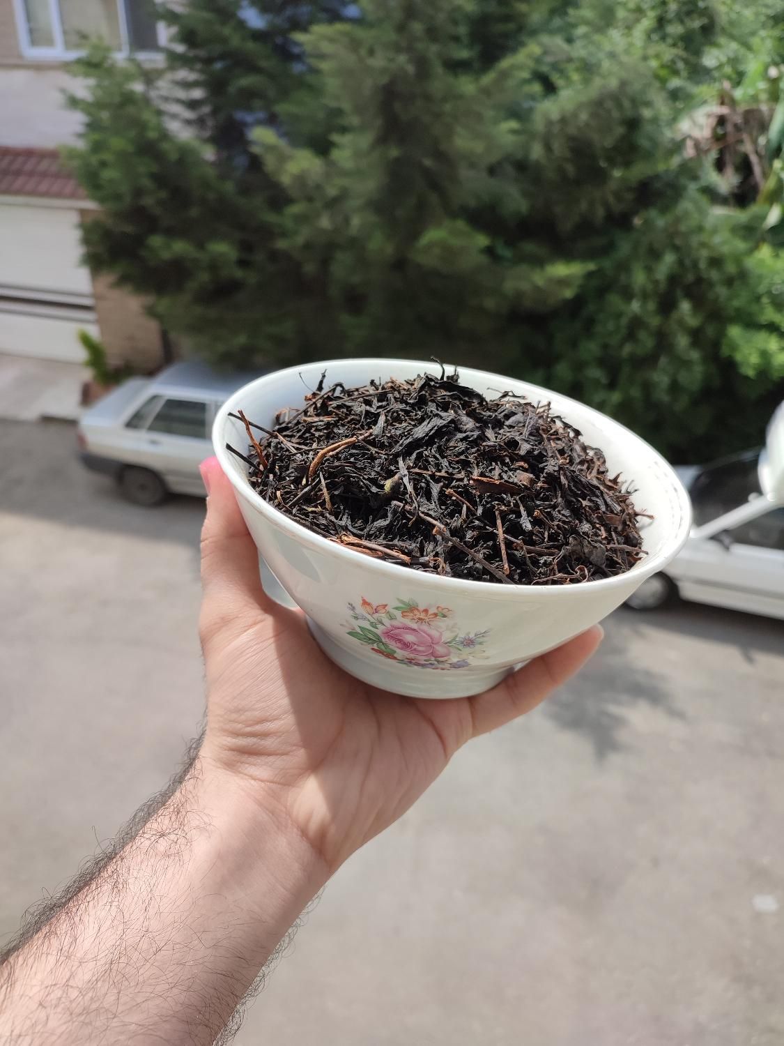 چای بهاره ، چین اول|خوردنی و آشامیدنی|لاهیجان, گلستان|دیوار
