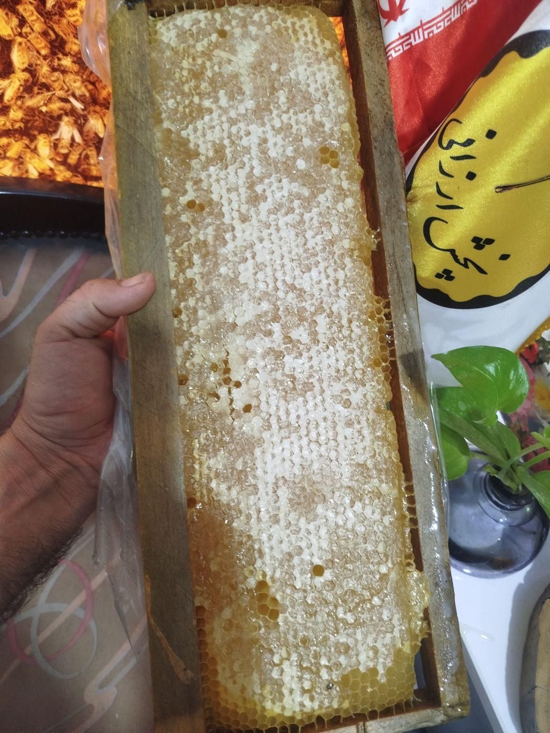 انواع عسل طبیعی  شرط آزمایشگاه مستقیم از زنبور دار|خوردنی و آشامیدنی|اهواز, آریاشهر|دیوار