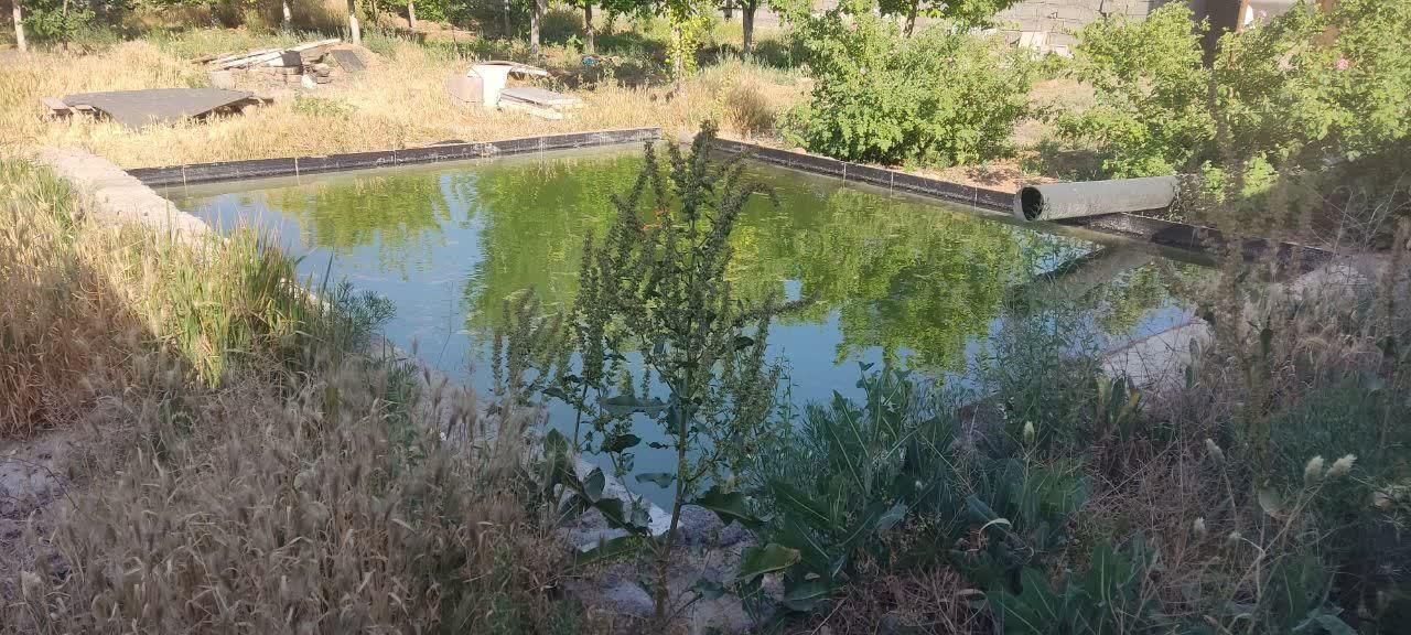 فروش باغ آدرس دوراهی برزش آباد و تبادکان|فروش خانه و ویلا|مشهد, طبرسی شمالی|دیوار