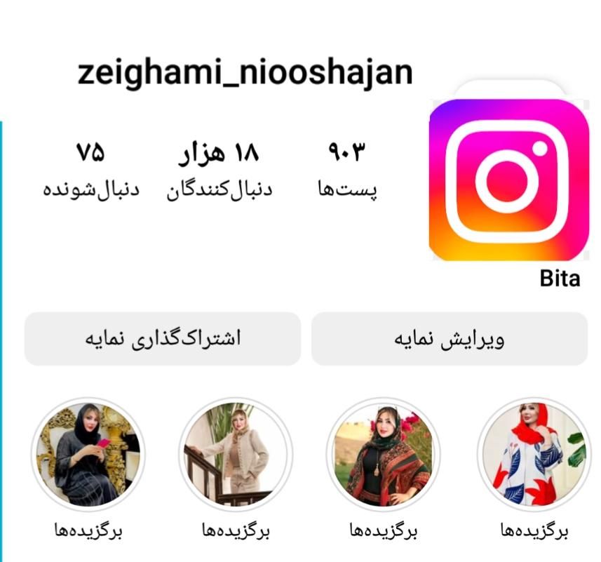 فروش پیج اینستاگرام|لوازم جانبی موبایل و تبلت|شیراز, ارم|دیوار