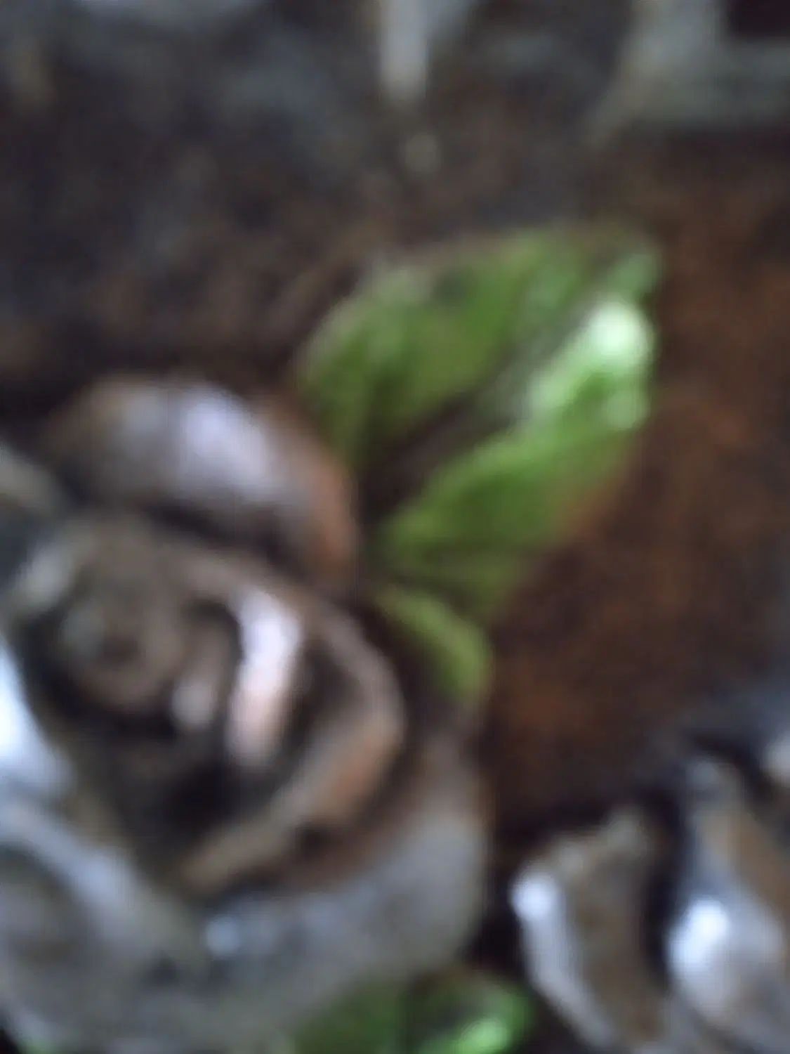 بلیط استخر|بلیت ورزشی|سبزوار, میدان بار|دیوار