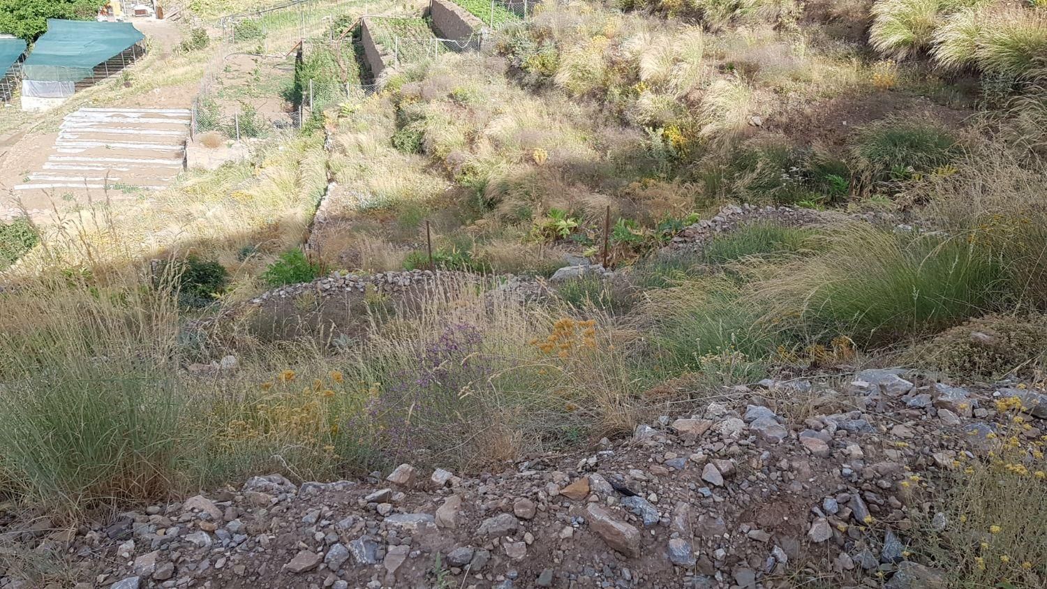 ۸۰۰متر زمین دربندسر بر جاده معدن زغال سنگ بدون سند|فروش زمین و ملک کلنگی|آسارا, |دیوار