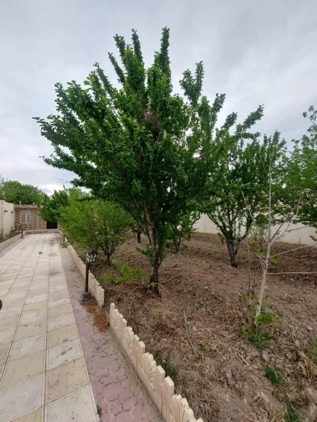 باغ ویلا قدیمی۵۰۰متری شهریار دهشادنازی آباد|فروش خانه و ویلا|شهریار, دهشاد بالا|دیوار