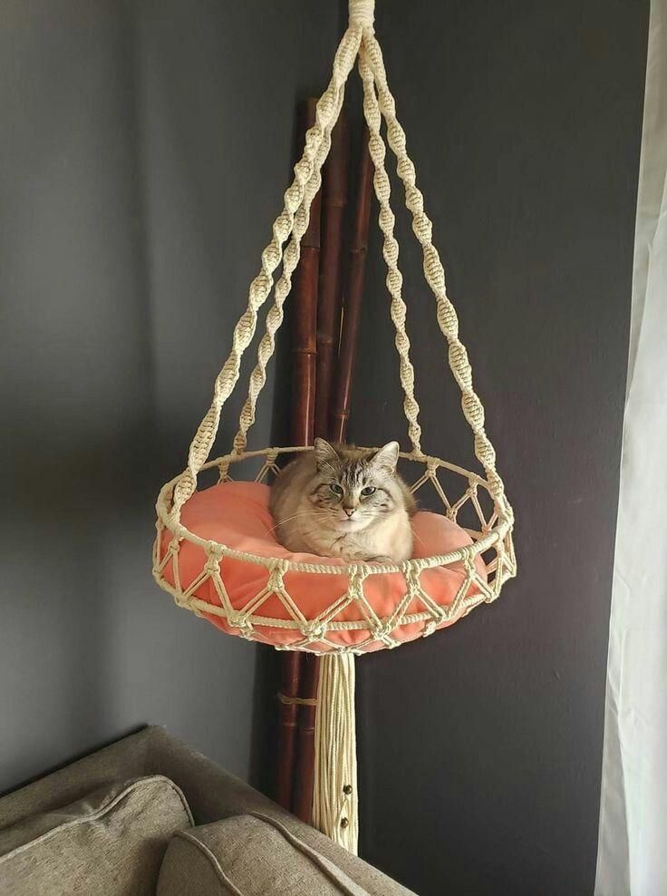 تاب و جا خواب پت مکرومه ای|لوازم جانبی حیوانات|بابل, |دیوار