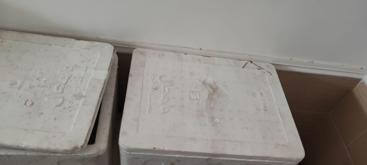 فروش ۴ عدد کاهوچو (یخدان)|ظروف نگهدارنده، پلاستیکی، یک‌بارمصرف|برازجان, |دیوار