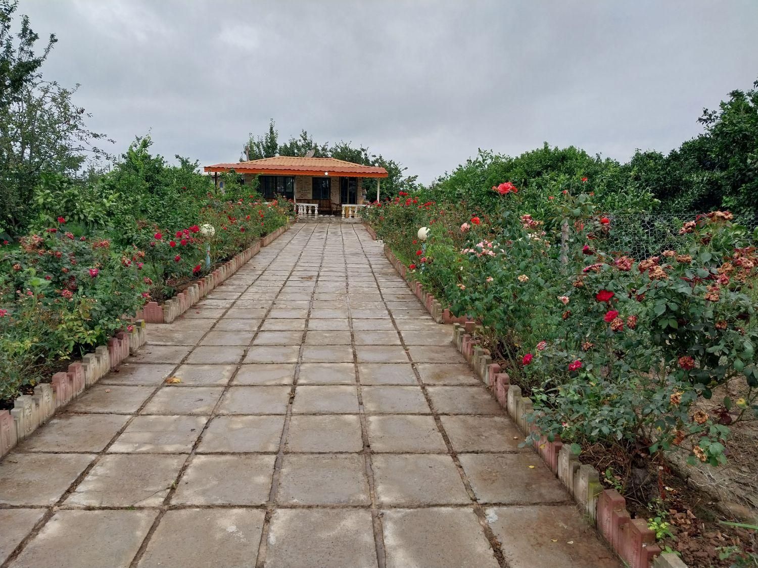 ویلا باغ به صورت روزانه اجاره داده میشود|اجارهٔ کوتاه‌مدت ویلا و باغ|نکا, |دیوار