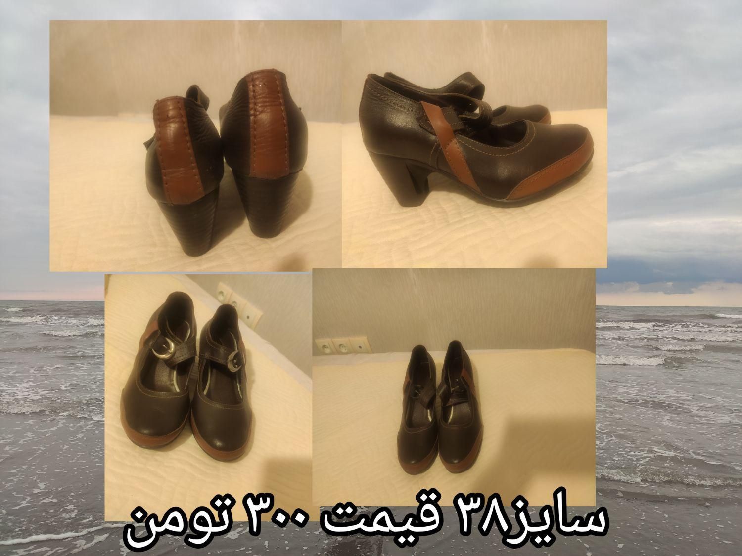 کفش زنانه|کیف، کفش، کمربند|کرج, کوی کارمندان شمالی|دیوار