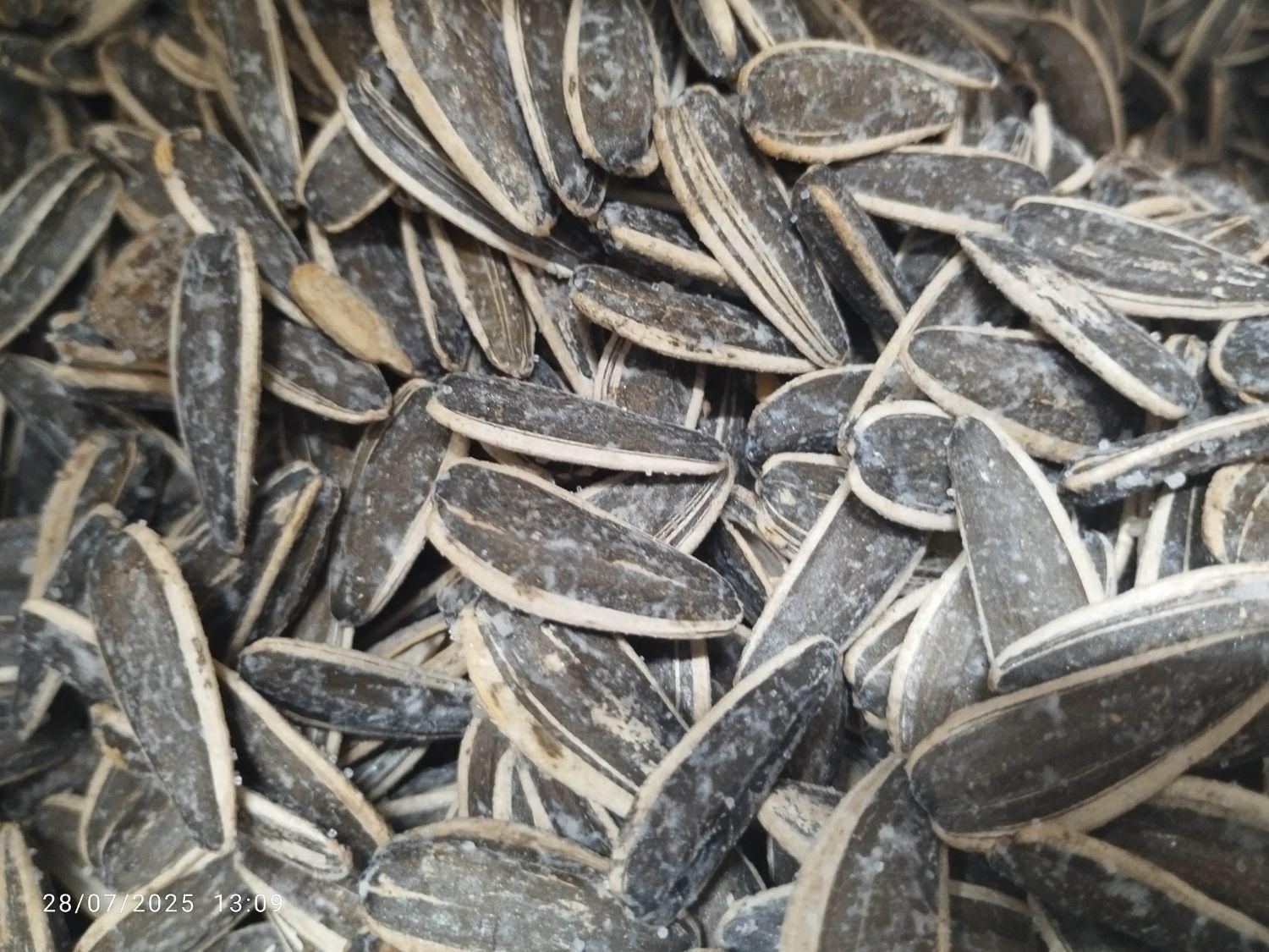 تخمه درجه 1|خوردنی و آشامیدنی|اصفهان, گلزار|دیوار