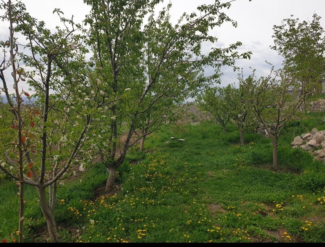 فروش باغ ۲۰۰۰ متری در روستای آلوچ،باامتیازات ویژه|فروش زمین و ملک کلنگی|مشگین شهر, |دیوار
