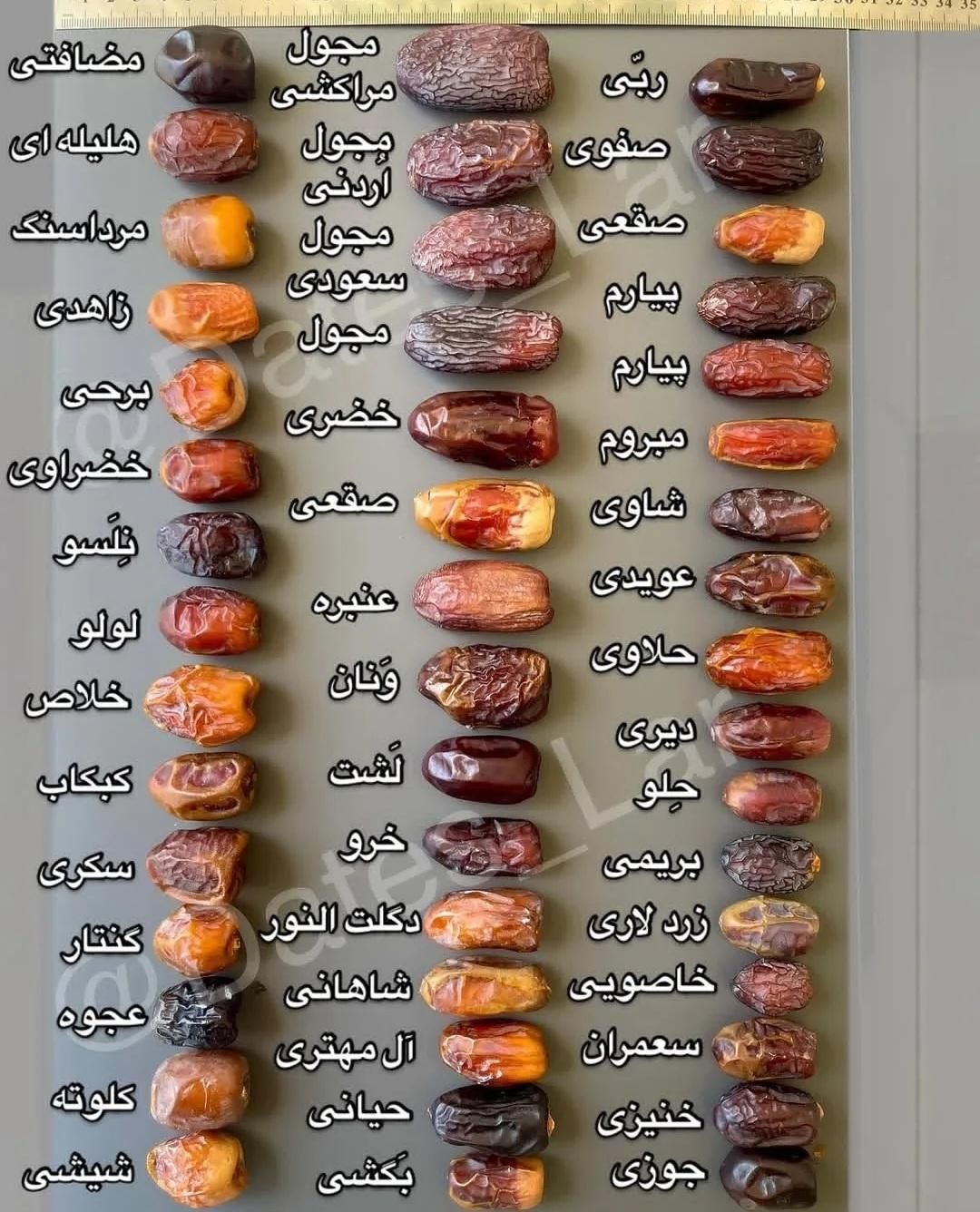 ارسال  نخل تنه دار از نخلستان|خدمات باغبانی و درختکاری|محلات, |دیوار