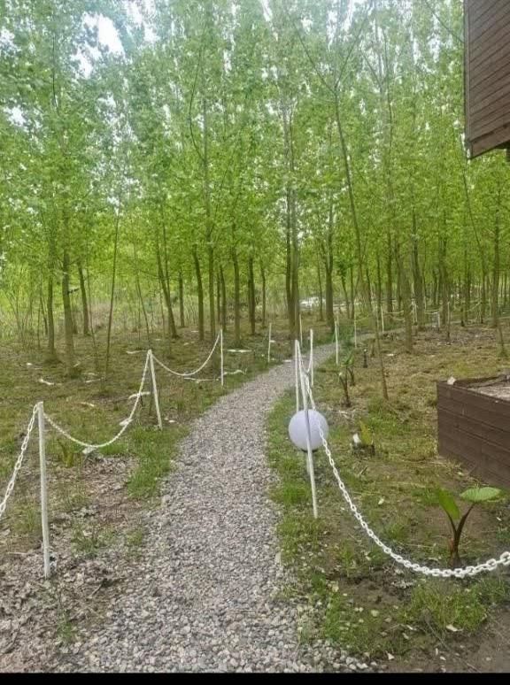 فروش ویلا با جزایر محوطه سازی شده|فروش خانه و ویلا|جهرم, |دیوار