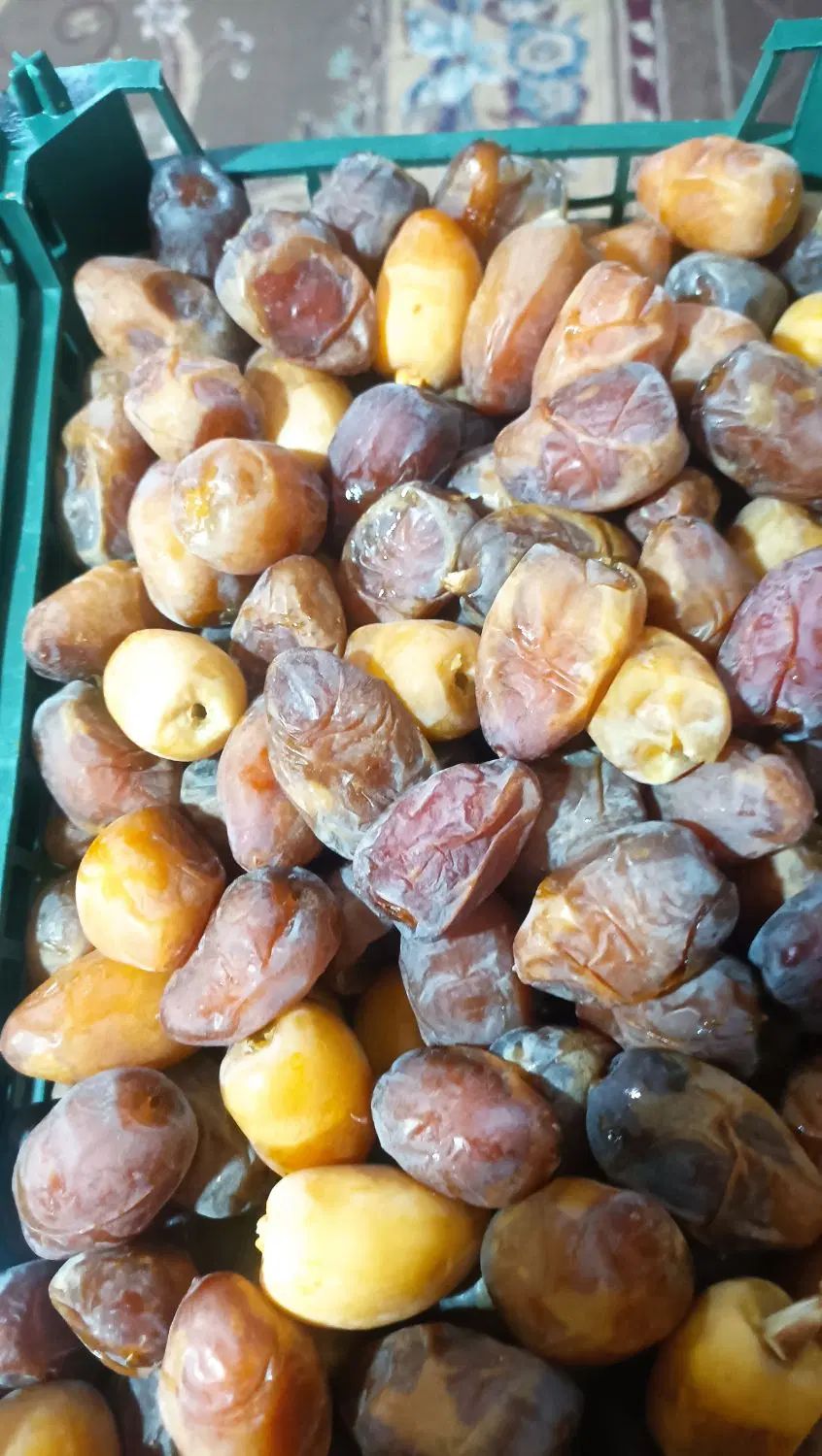 انواع خرما خوزستان|خوردنی و آشامیدنی|رشت, بلوار گیلان|دیوار