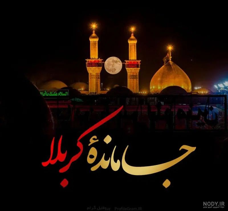 کربلا ویژه جاماندگان  اربعین|تور و چارتر|مشهد, حرم مطهر رضوی|دیوار