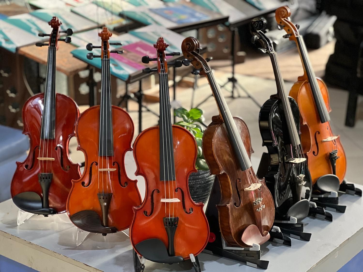 ویولن ویالون tf 142 آماتی والنسیا|ویولن|مشهد, جانباز|دیوار