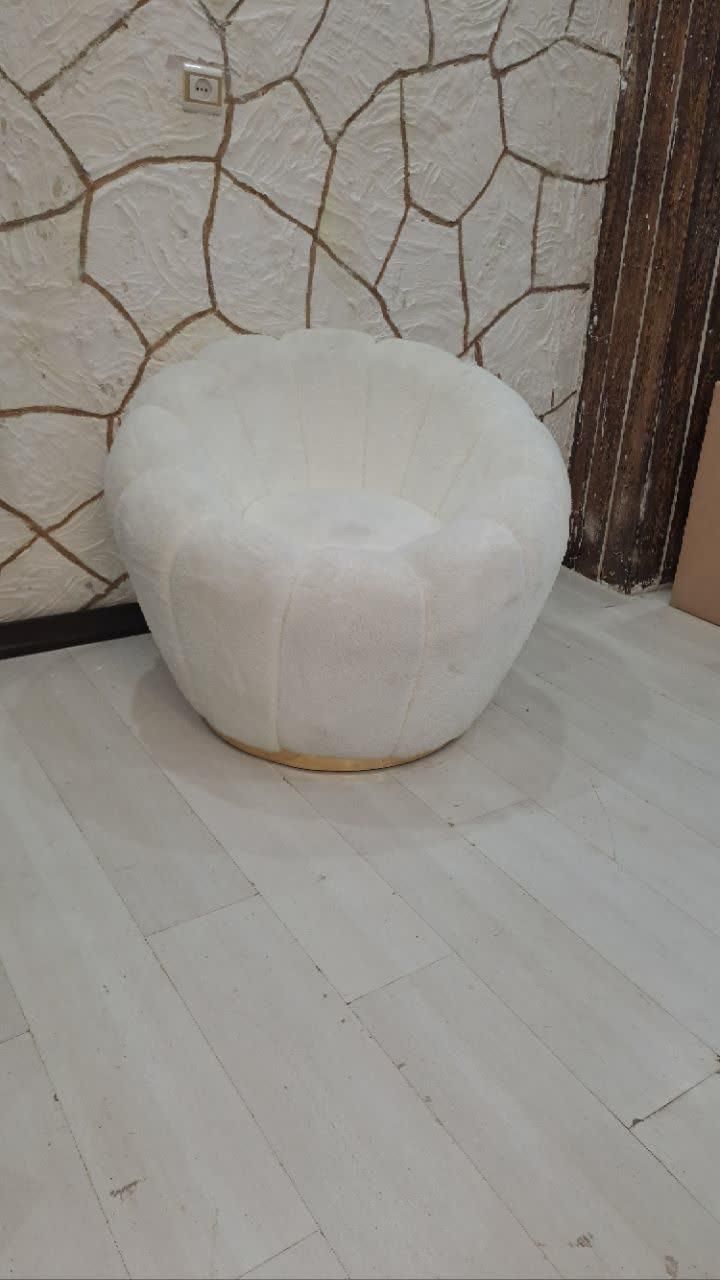 صندلی کلایل. صندلی اصلاح. ترولی. میز ناخن|آرایشگاه و سالن‌های زیبایی|صفادشت, |دیوار