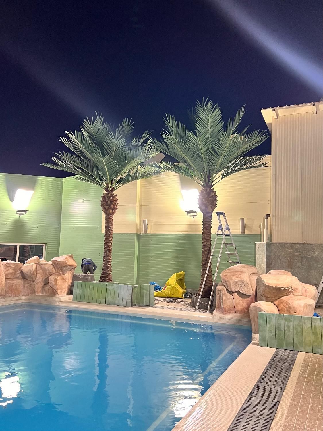 انواع درخت،درختچه مصنوعی جاودان،نخل،شکوفه،بابا ادم|گل مصنوعی|مشهد, امیر|دیوار