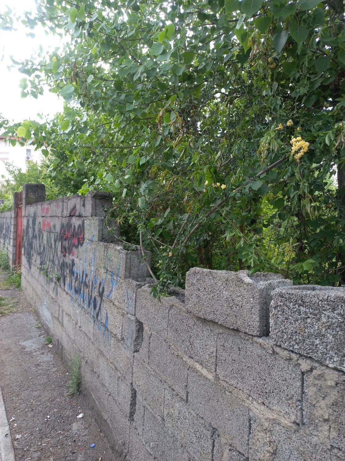 زمین / مسکونی / ۱۵۰۰ متری / گاز / دانشگاه|فروش زمین و ملک کلنگی|رشت, منظریه|دیوار