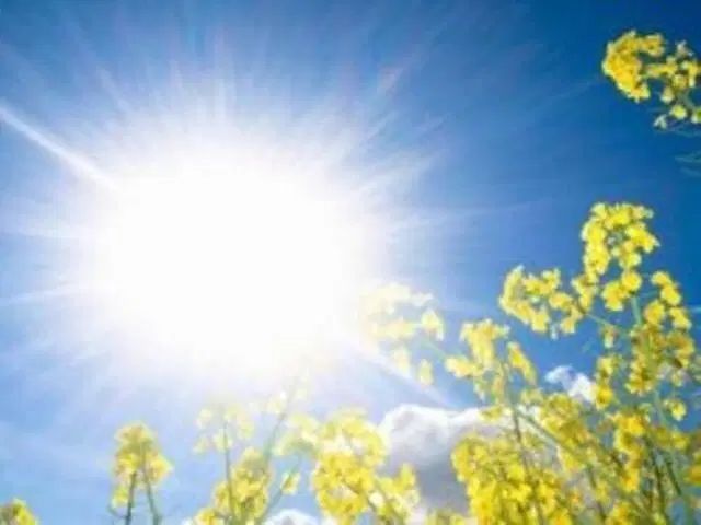 راهنمایی معرفی دکتر|فعالیت داوطلبانه|اصفهان, آزادان|دیوار