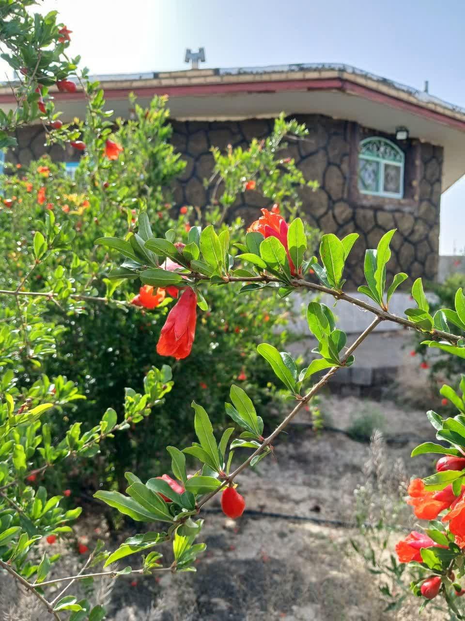 سویت۳۰۰۰ متری در شهرستان ورزنه|اجارهٔ کوتاه‌مدت آپارتمان و سوئیت|اصفهان, شهرستان|دیوار