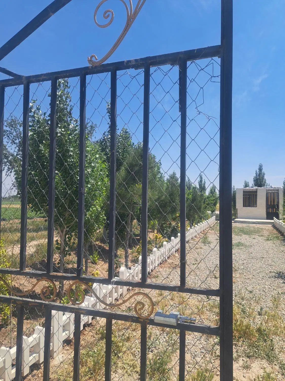 فروش دو قطعه باغچه هر کدام به متراژ ۳۳۰ متر|فروش زمین و ملک کلنگی|تنکمان, |دیوار
