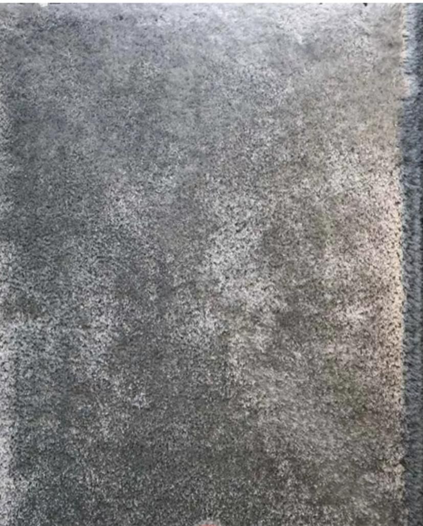 فرش شگی پرز بلندظریف مصور|فرش|اهواز, کوی فرهنگیان ۲|دیوار