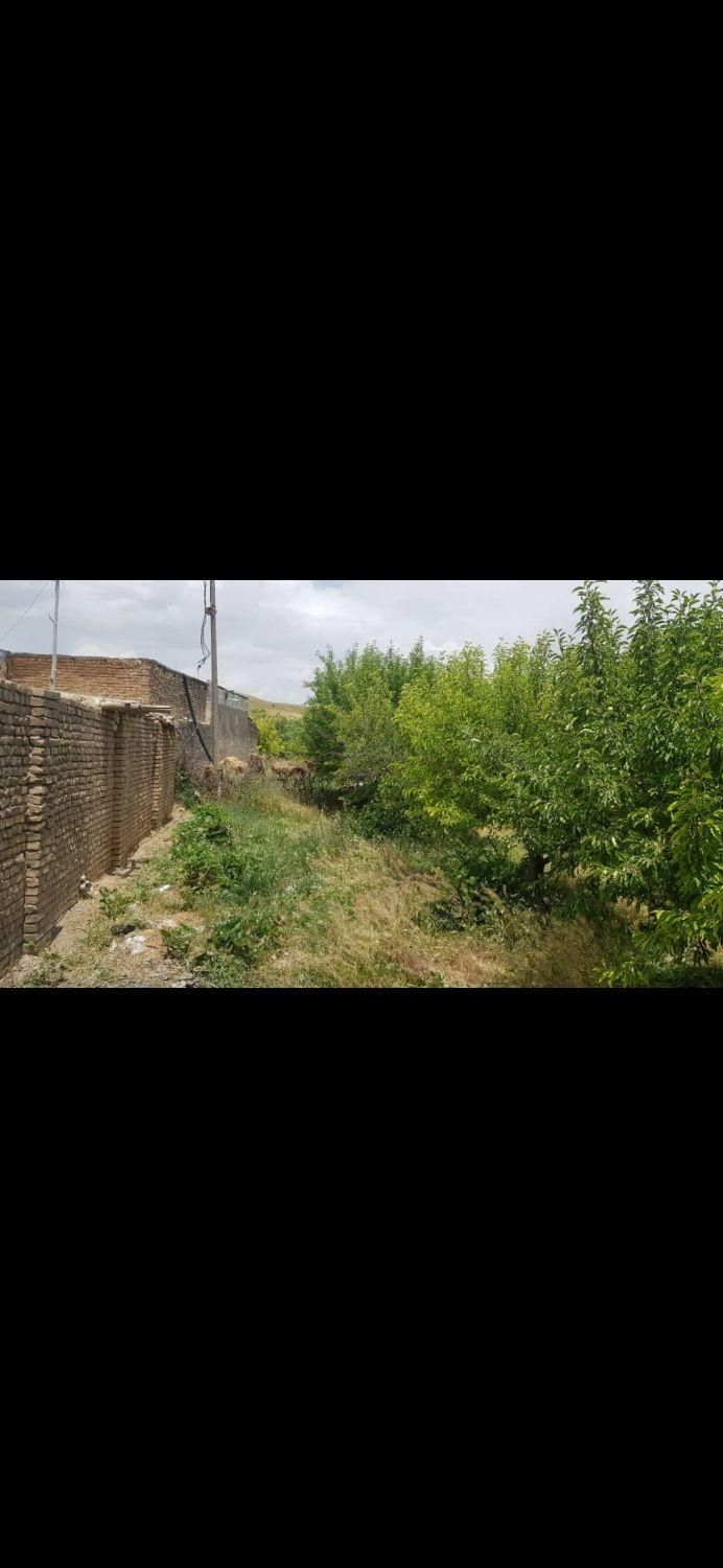 فروش زمین ۵۰۰ متری روستای شیخ میری|فروش زمین و ملک کلنگی|بروجرد, |دیوار