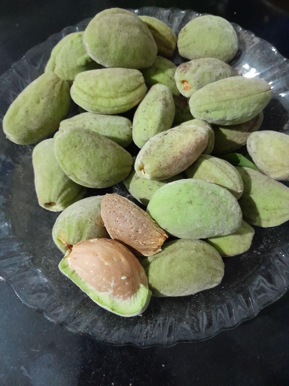 بادام تازه امسالی|خوردنی و آشامیدنی|اصفهان, رزمندگان|دیوار