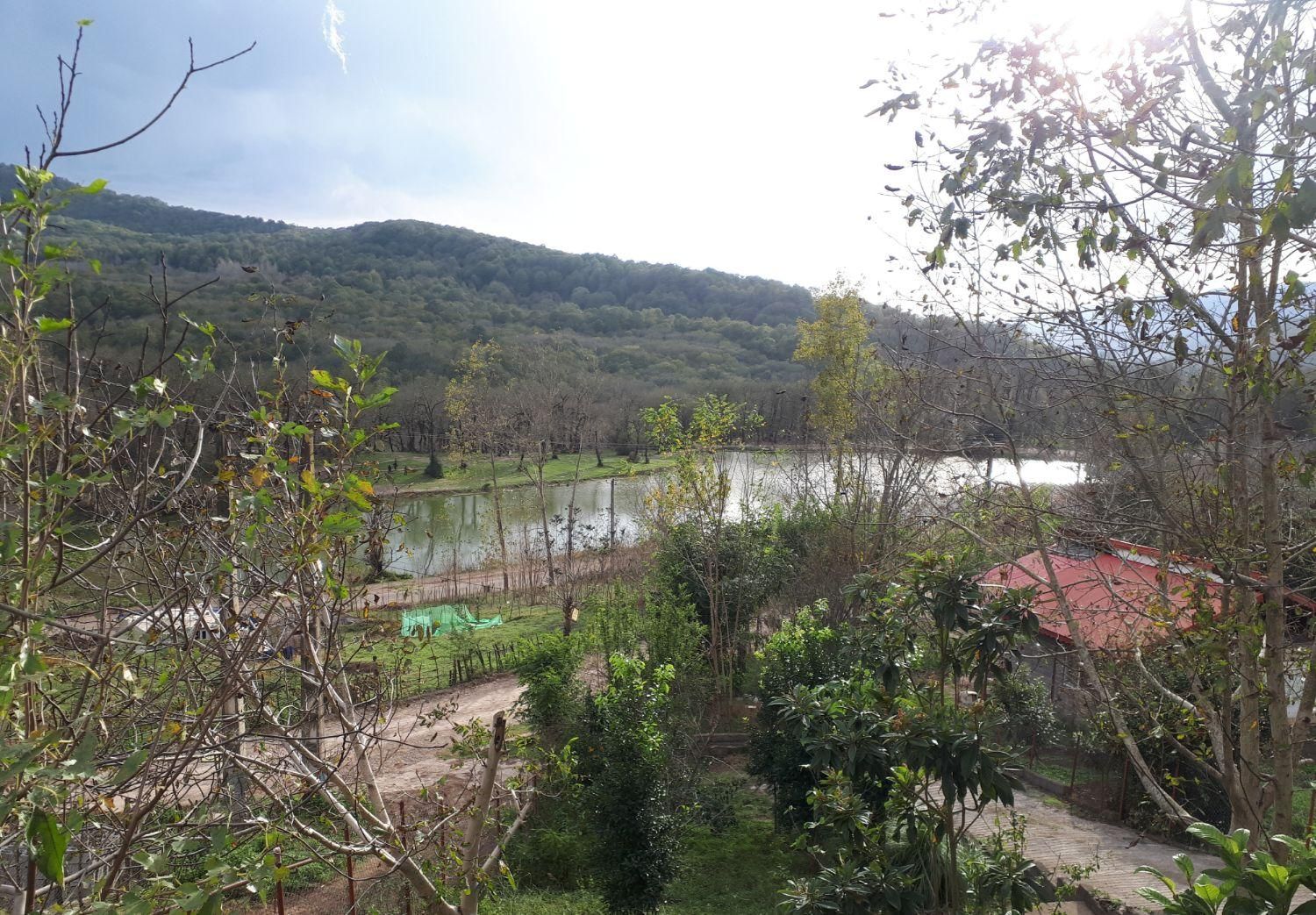 ویلا باغ دهکده توریستی حلیمه جان گیلان|فروش خانه و ویلا|توتکابن, |دیوار