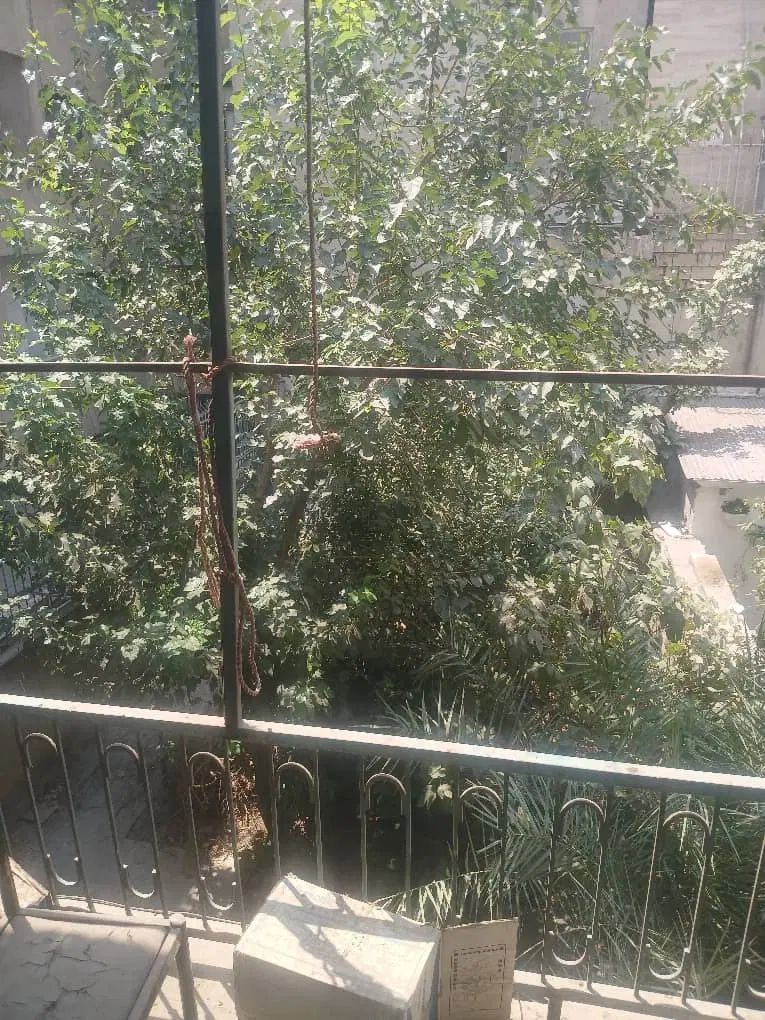 سهروردی شمالی مطهری ۲۱۰ متر بر ۱۰ ۵طبقه ساز|فروش زمین و ملک کلنگی|تهران, عباس‌آباد|دیوار
