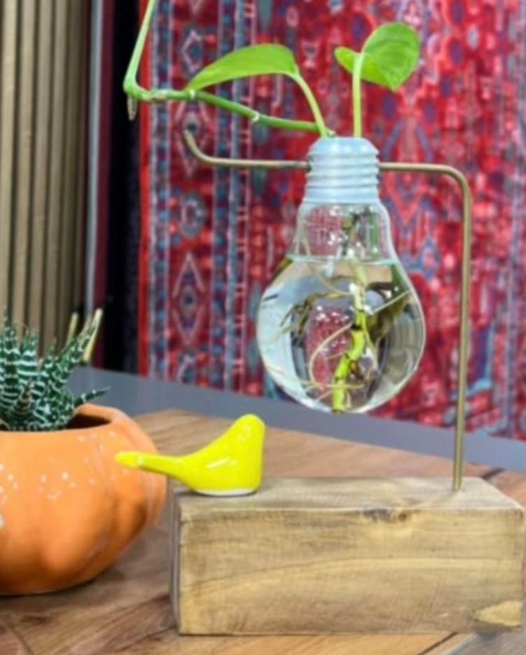 گلدون لامپ|صنایع دستی و سایر لوازم تزئینی|رشت, ساغری سازان|دیوار