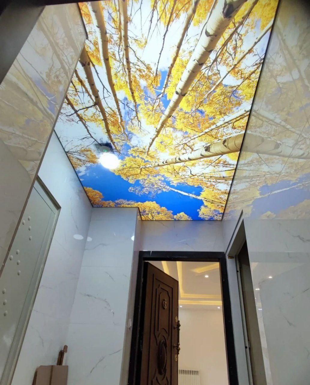 سقف کشسان|خدمات پیشه و مهارت|کرمانشاه, |دیوار