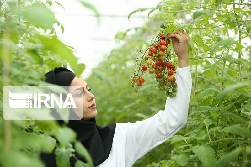 شریک و سرمایه گذار میپذیرم|فعالیت داوطلبانه|اصفهان, تیران|دیوار