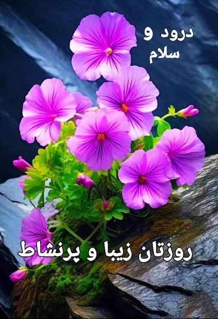 همکاری کردن در کارهای خیر و خدا پسندانه|فعالیت داوطلبانه|سیرجان, |دیوار
