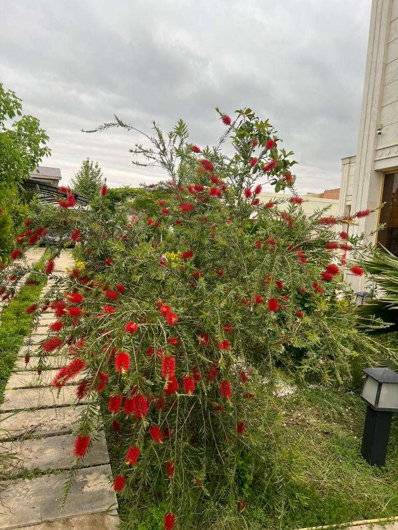 اجاره ویلای دوبلکس استخردار فول مبله جاده انزلی|اجارهٔ خانه و ویلا|رشت, دیلمان|دیوار