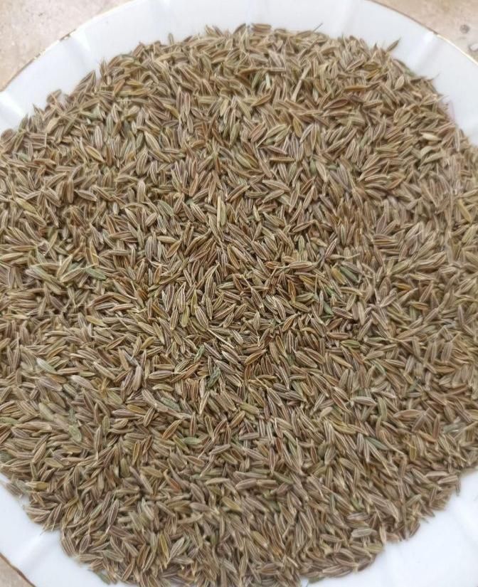 زیره سبز سروستان درجه یک بشرط..|خوردنی و آشامیدنی|مرودشت, فاز دوم شهرک فرهنگیان|دیوار