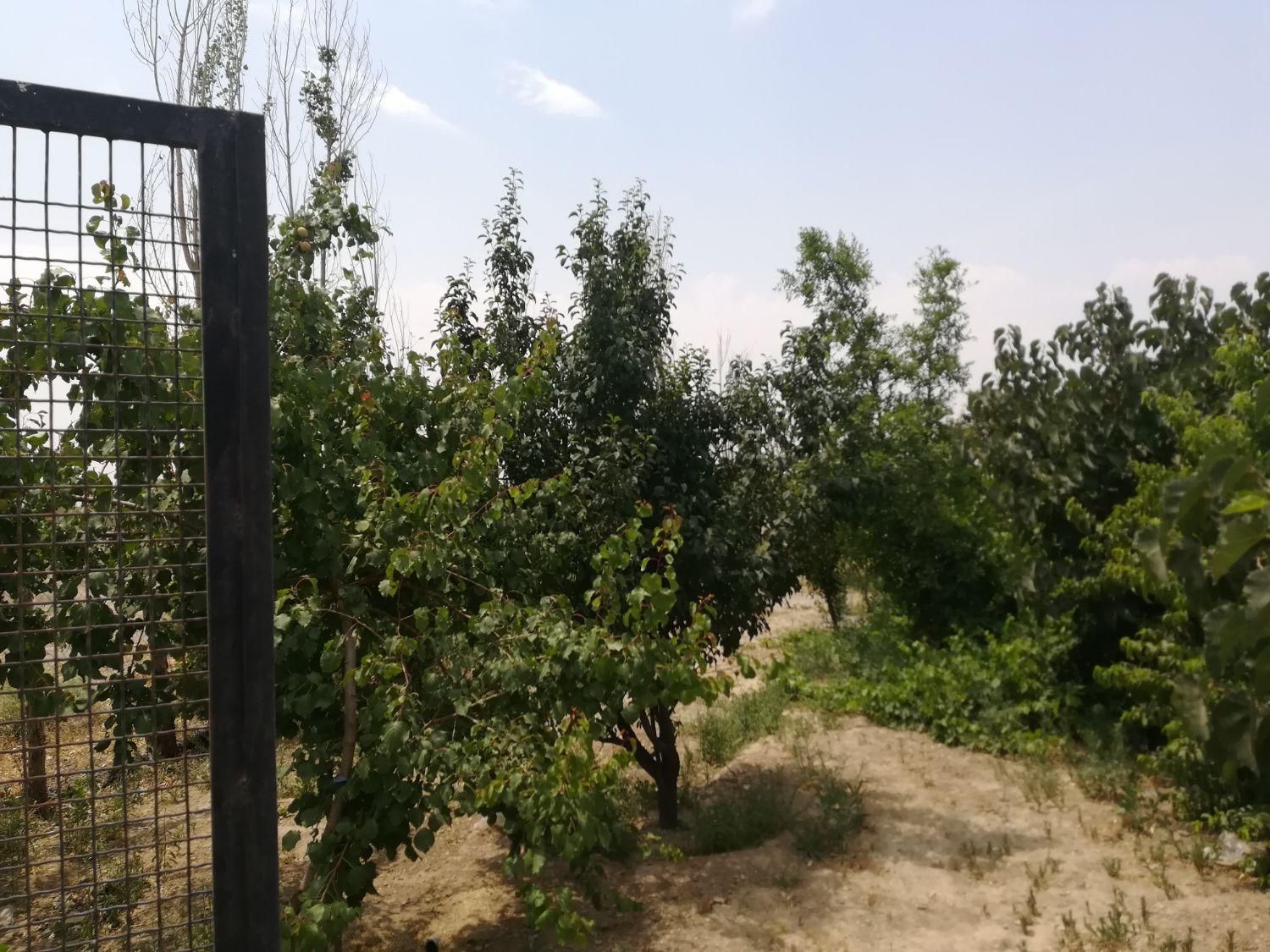 فروش زمین ۳۰۱ متری در فیروز بهرام|فروش زمین و ملک کلنگی|تهران, شهرک طالقانی|دیوار